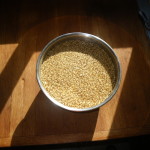 Grain covered with water
