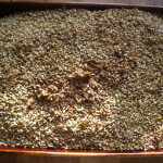 Dried grain with caramel clumps