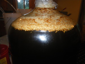 Beer with Coconut