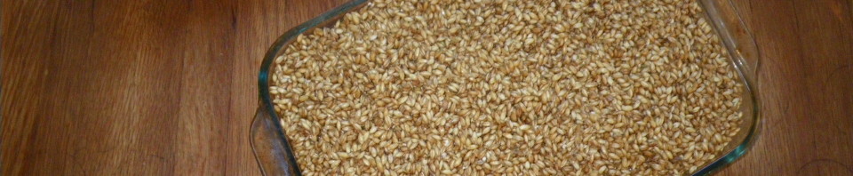 Making Crystal Malt at Home